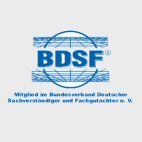 logo bdsf